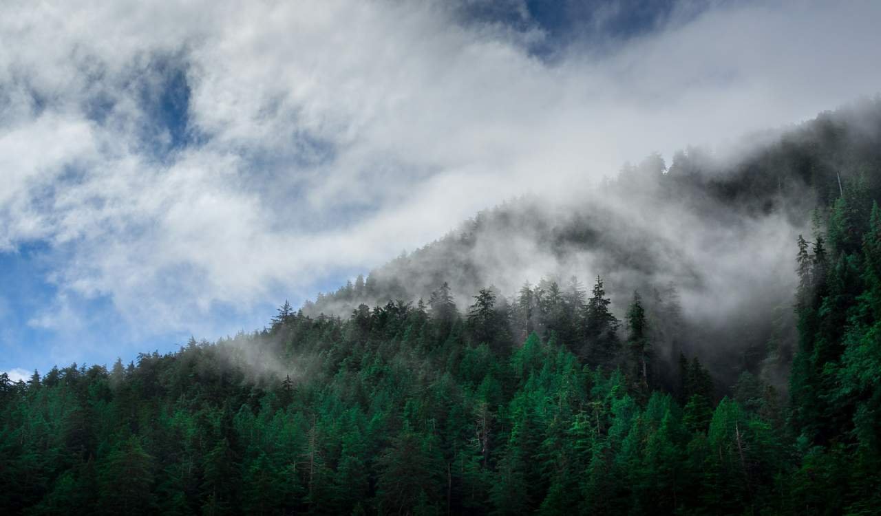 Haida Gwaii