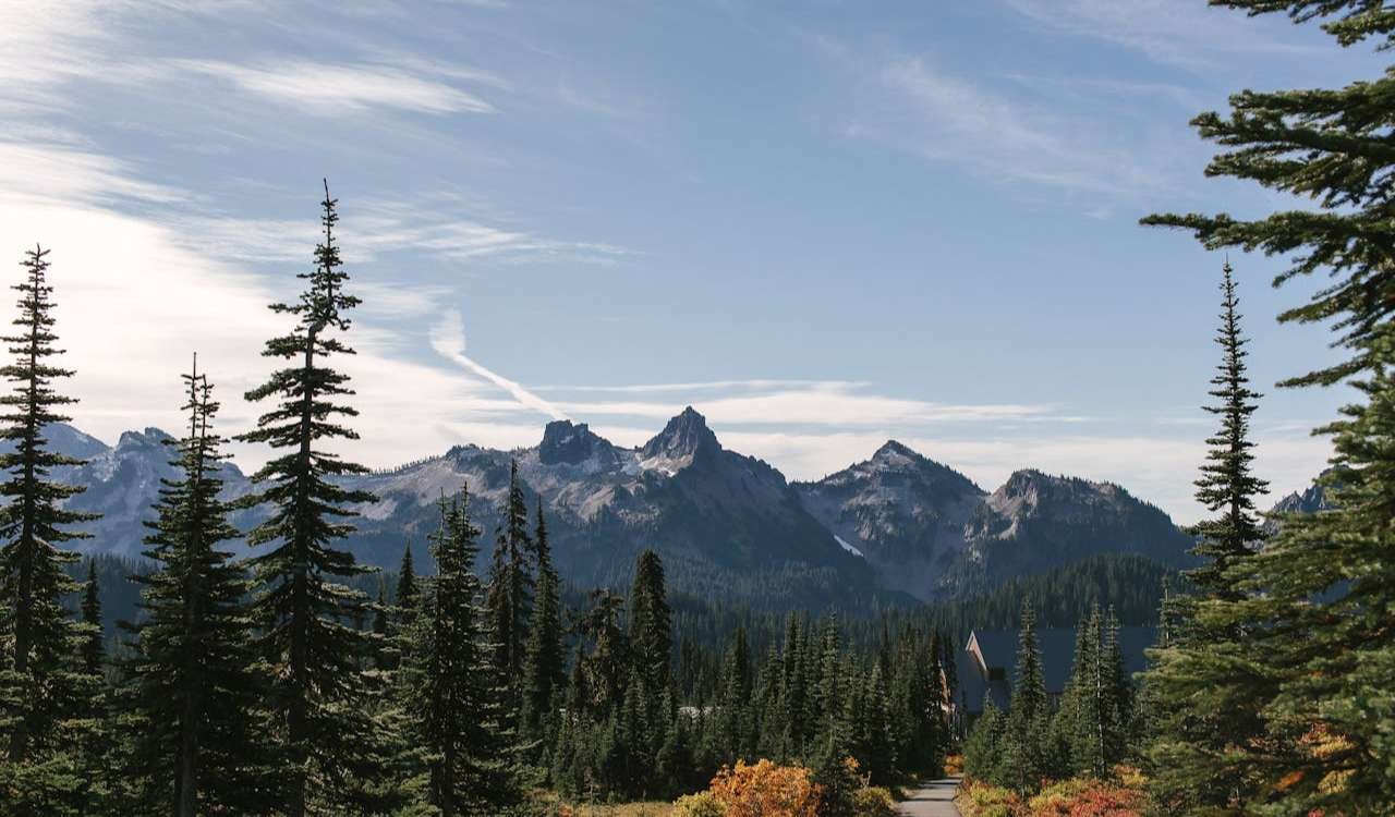 Mt. Rainier National Park