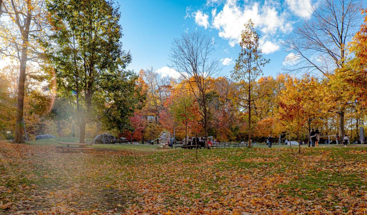 Parc du Mont-Royal