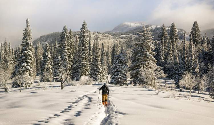 Steamboat Springs