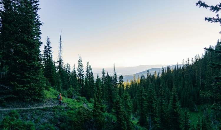 Summer Vacation in Telluride