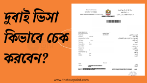 দুবাই ভিসা চেক কিভাবে করবেন